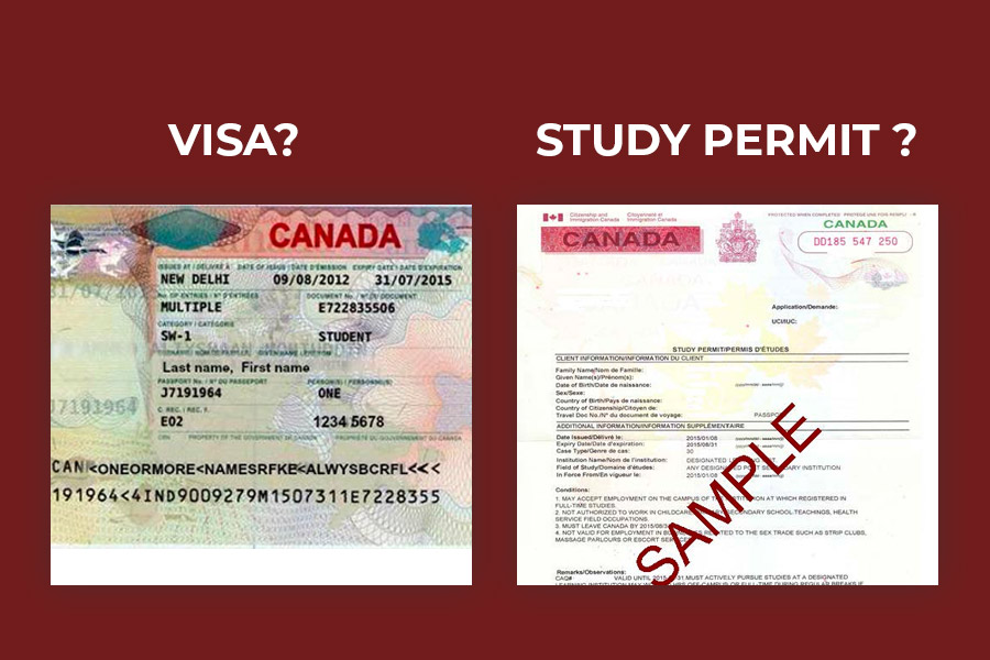 Visa và Study Permit là gì